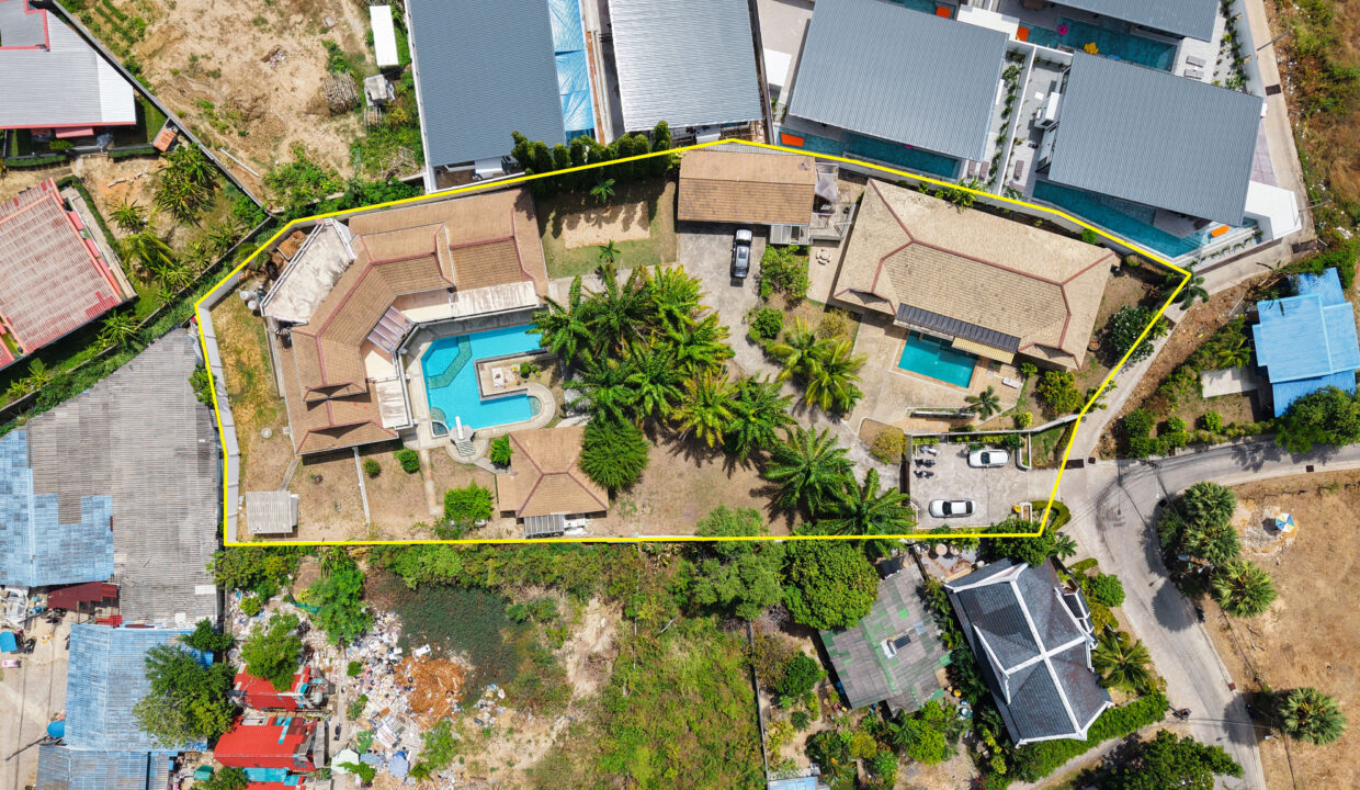 Birds Eye 1