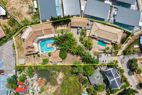 Birds Eye 1